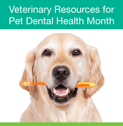 February is National Pet Dental Health Month