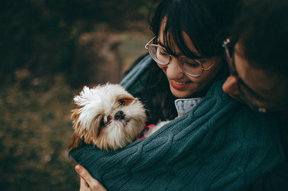 Pamper your pet