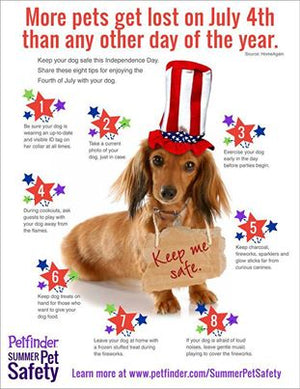 Keep your pets safe on the 4th of July
