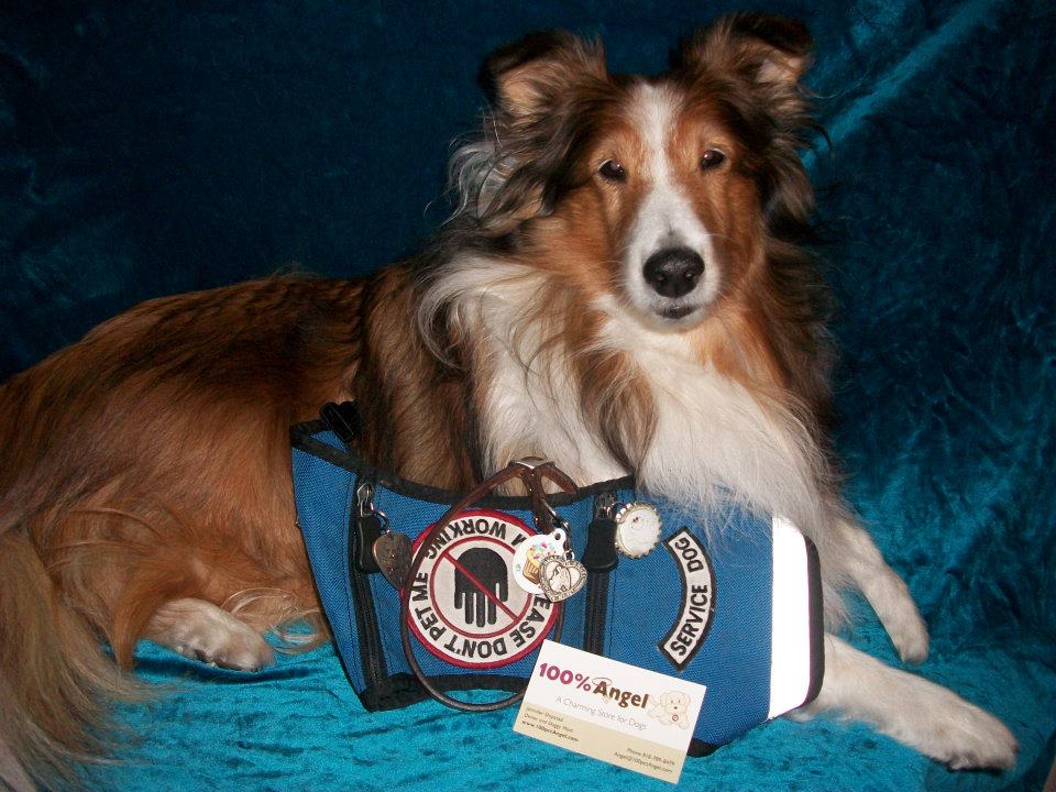 Holly, a Service Dog and Community Champion