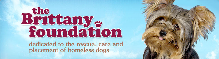 The Brittany Foundation dedicated to the rescue, rehabilitation, care and placement of homeless dogs.