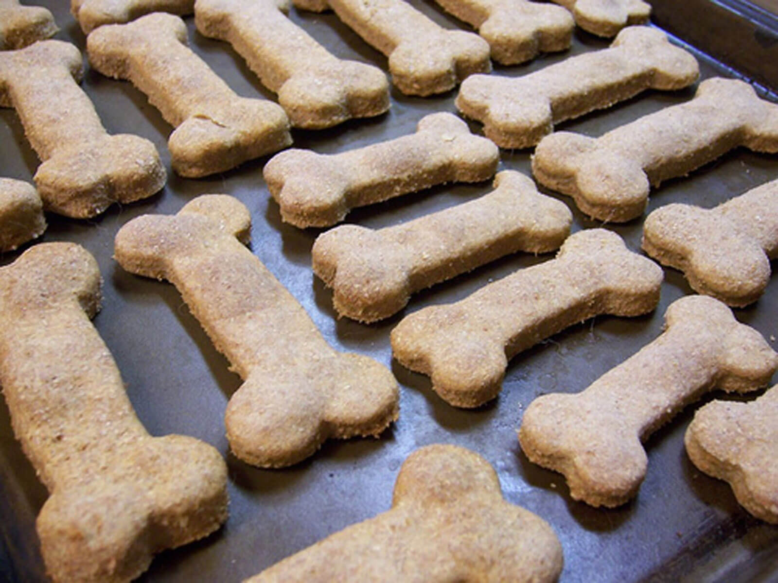 Bake Your Own Vegetarian Dog Treats, By Emma Luna from Waggz