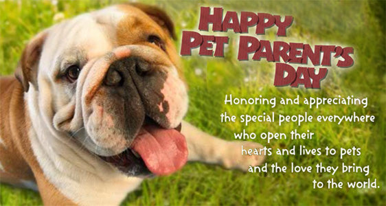 Be Sure to Celebrate National Pet Parent's Day!