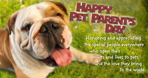 Be Sure to Celebrate National Pet Parent's Day!