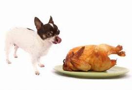 Thanksgiving Foods your dog should not eat