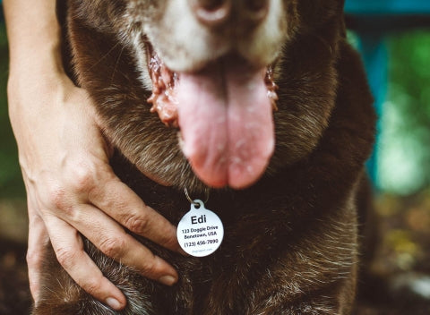 Bless and Protect my Pet ID Tag